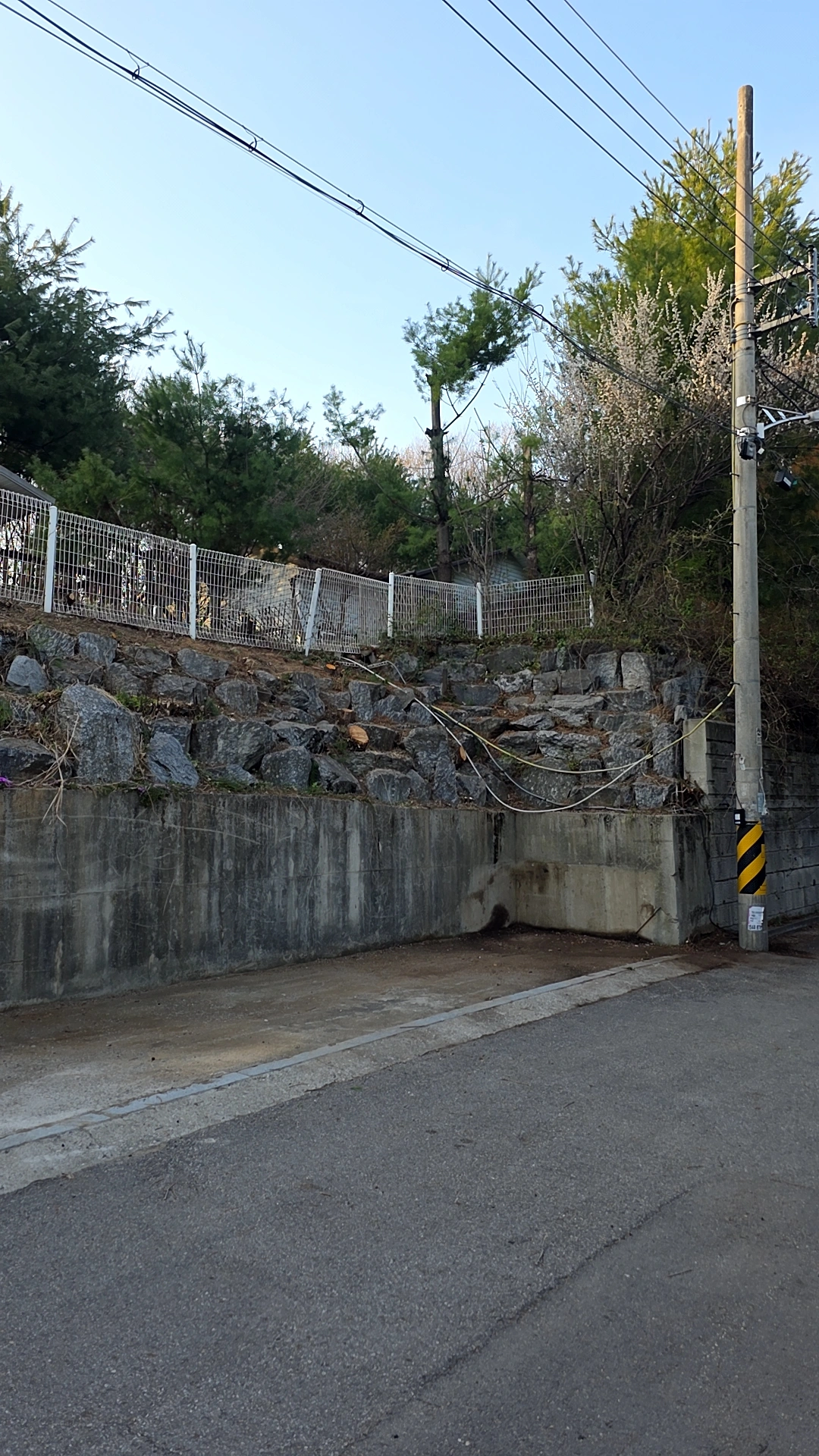 가지치기 수형 관리 시공사례