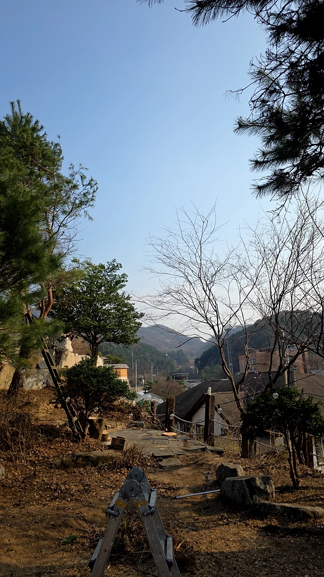 아파트 조경 수목 정리 시공 현장