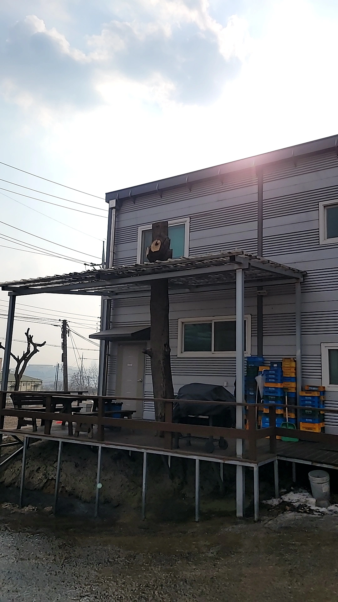 주택 뒷마당 고목 제거 시공사례